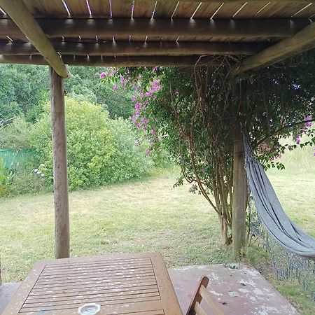 Casas Punta Negra Villa Piriápolis Eksteriør billede