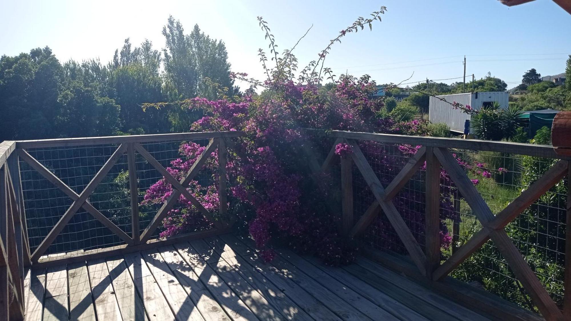 Casas Punta Negra Villa Piriápolis Eksteriør billede