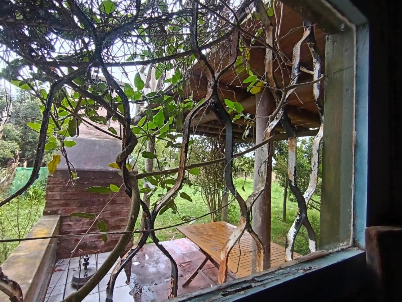 Casas Punta Negra Villa Piriápolis Eksteriør billede