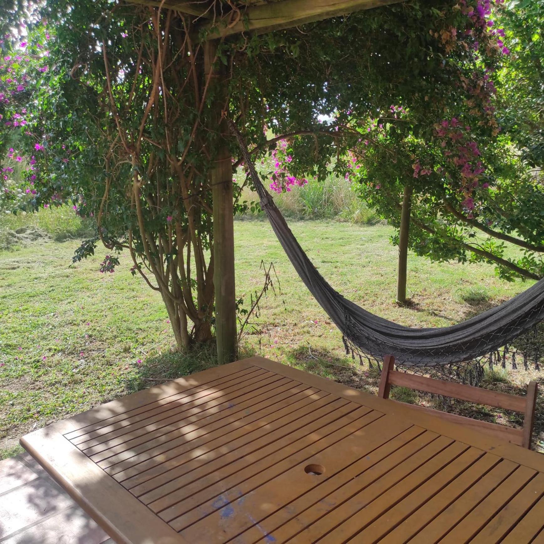 Casas Punta Negra Villa Piriápolis Eksteriør billede