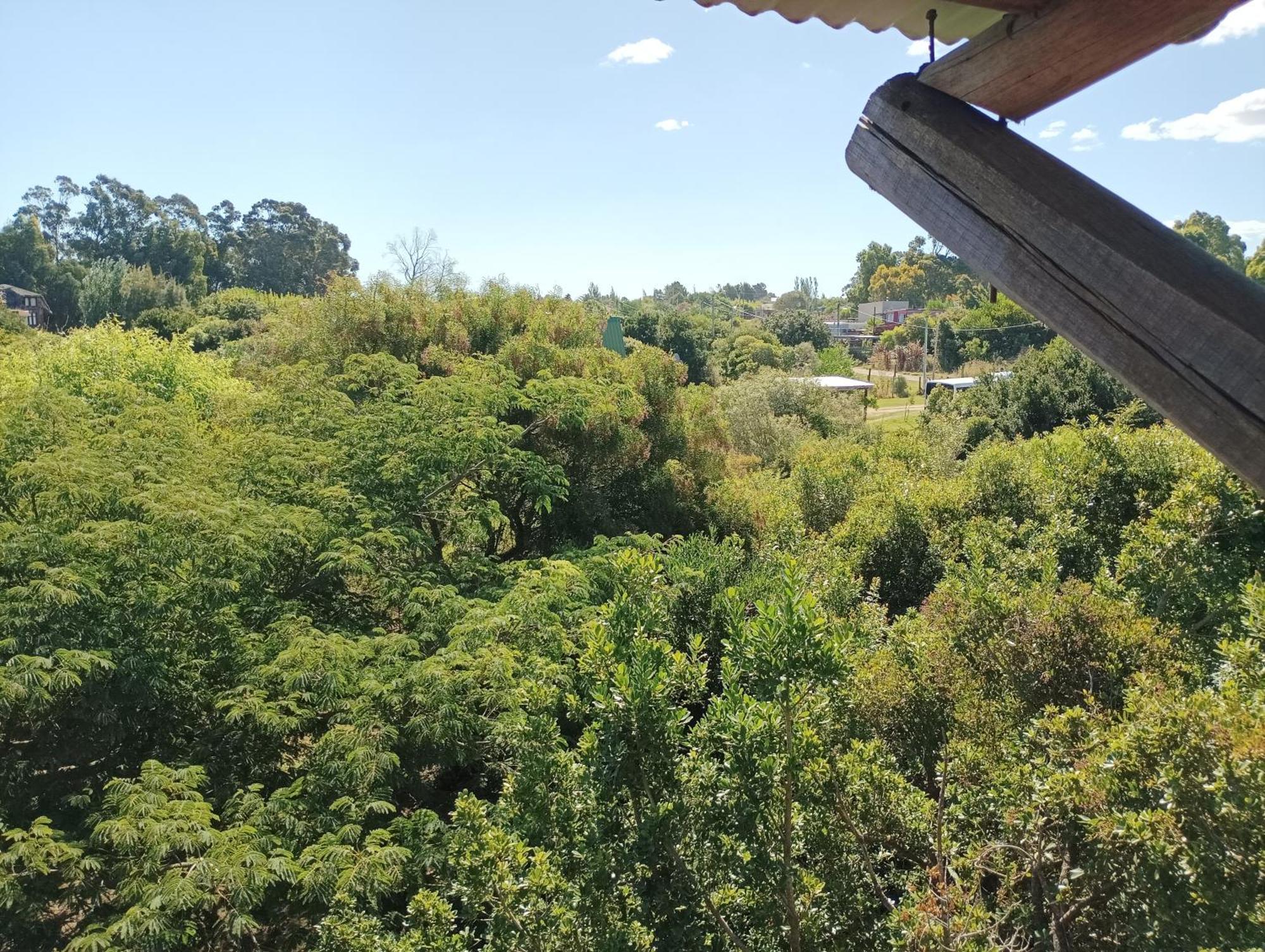 Casas Punta Negra Villa Piriápolis Eksteriør billede